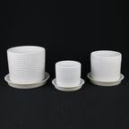 3-Piece White Stoneware Planter Set with Geometric Line Design