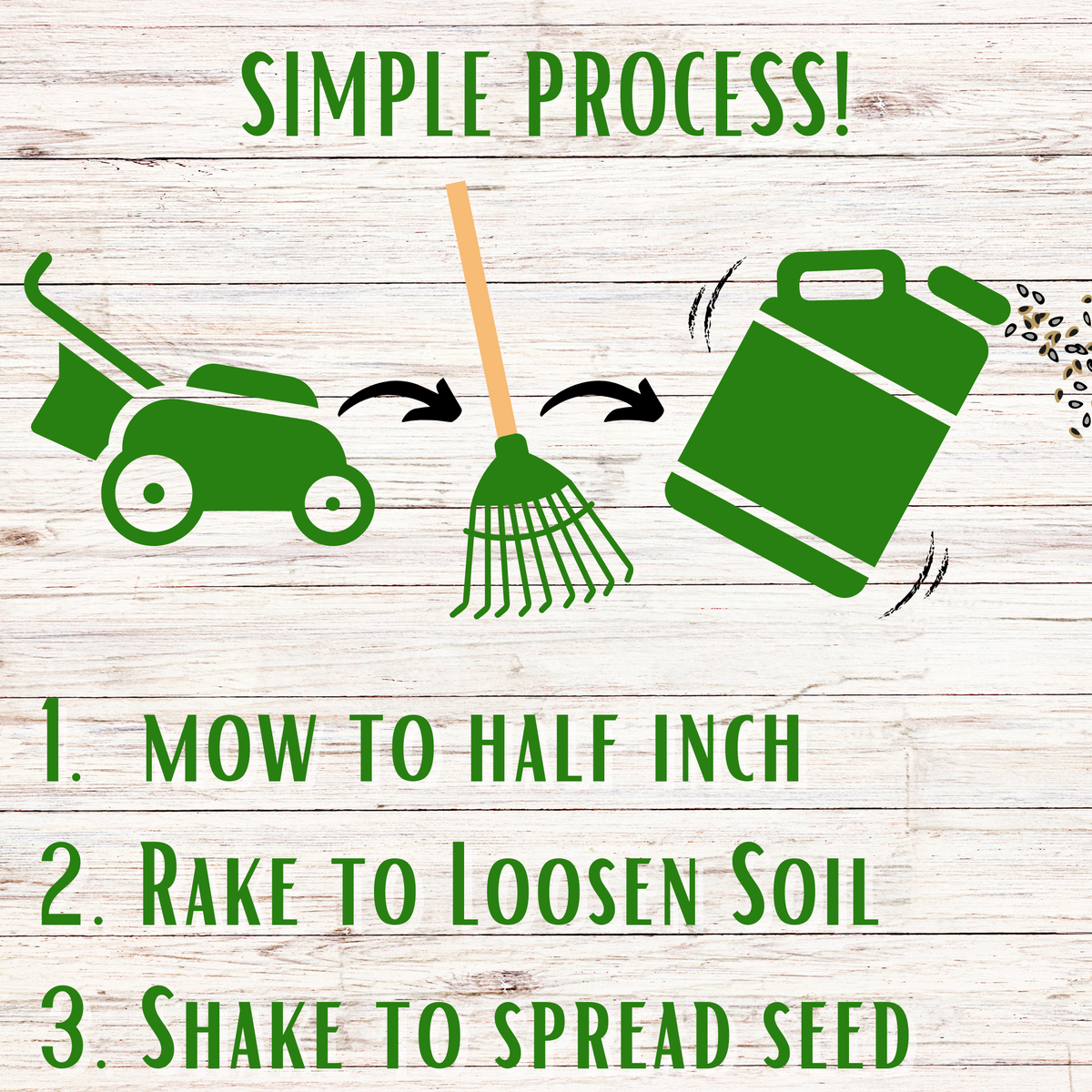 Bee Lawn Seed Kit - Easy Spread Shaker