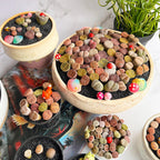 Boutique Large Lithops Random DIY Mix Rare Live Succulents Plants, Bare Root Without Soil & Pot, Plants Lover Gift