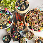 Boutique Large Lithops Random DIY Mix Rare Live Succulents Plants, Bare Root Without Soil & Pot, Plants Lover Gift