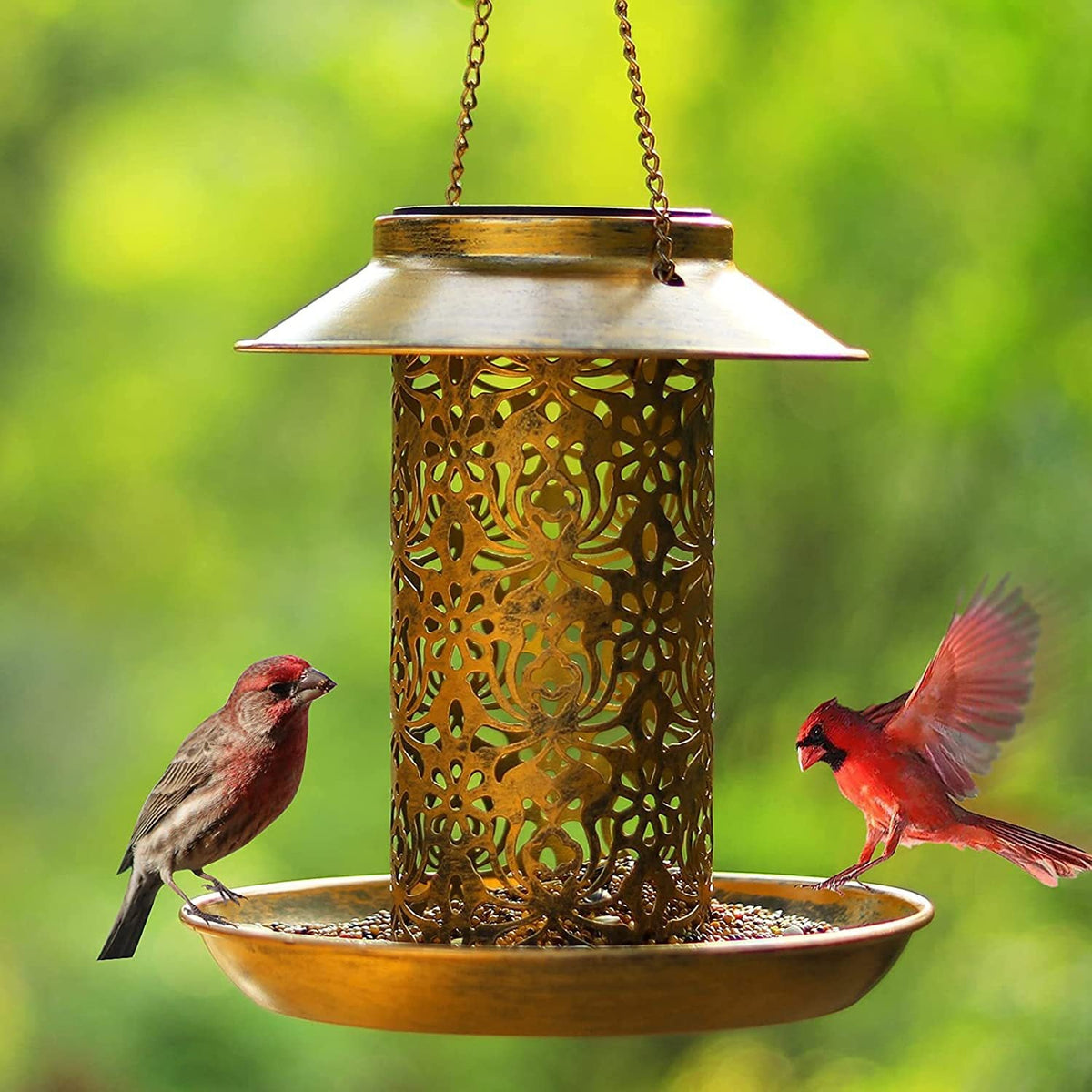 Outdoor solar powered lamp metal hanging bird feeder feeding and watering dual-purpose bird feeder decorative lamp