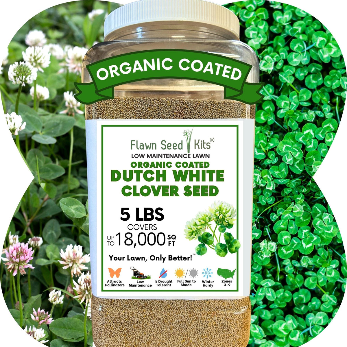 Dutch White Clover Seed