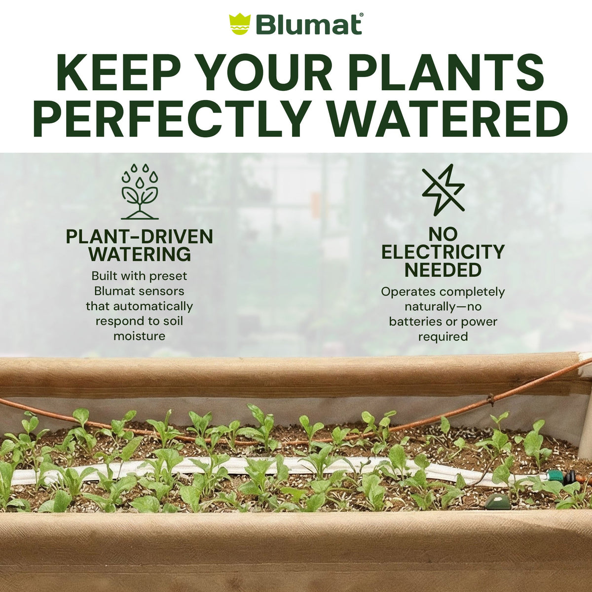 Preset Blumat Grow Tent Irrigation Kit