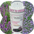 Creeping Thyme Easy Spread Shaker