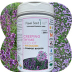 Creeping Thyme Easy Spread Shaker