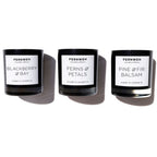 Cascadia Edition: Explore the Pacific Northwest Candle Gift Set