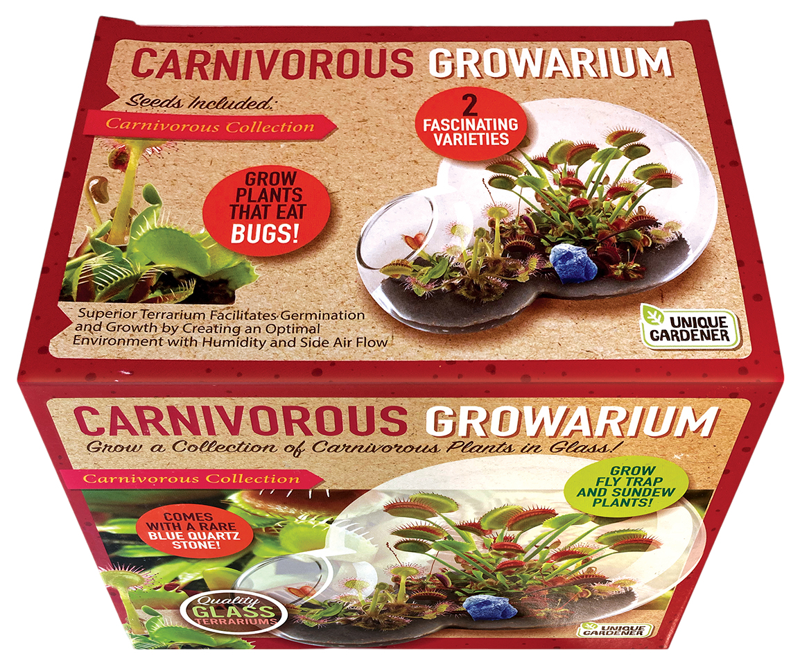Carnivorous Growarium Meat-Eating Seed Terrarium Kit