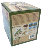 Desert Escape Growarium Succulent and Cacti Seed Terrarium Kit