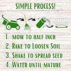 Bee Lawn Seed Kit - Easy Spread Shaker
