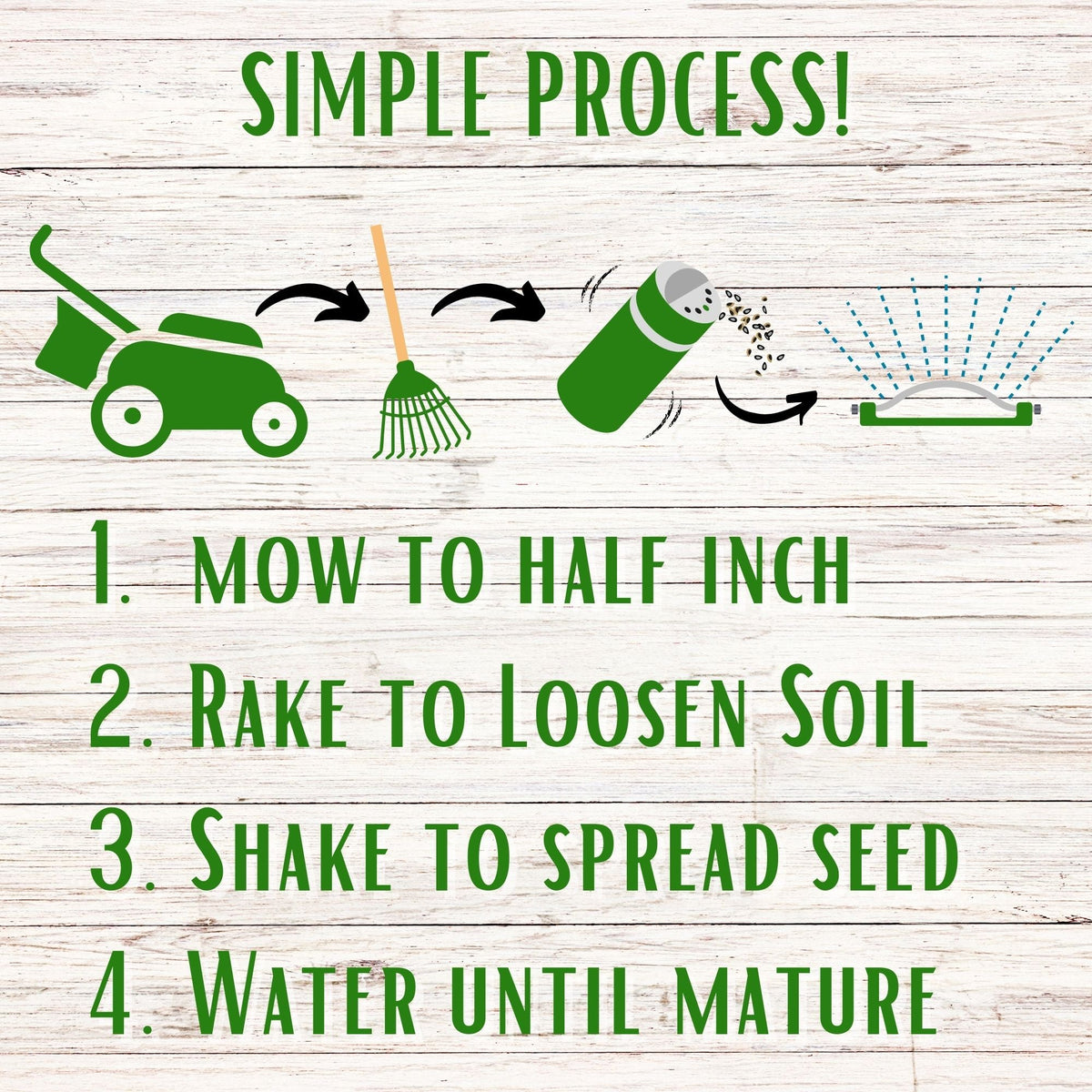 Bee Lawn Seed Kit - Easy Spread Shaker