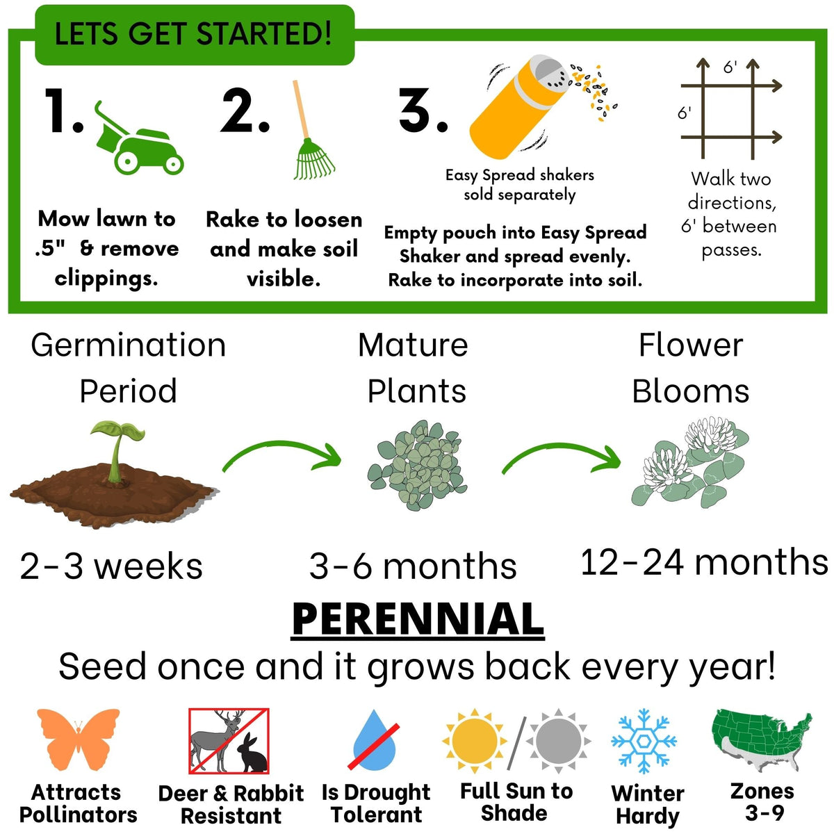 Dutch White Clover Seed