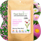 English Daisy 'Mixed' Seed Pouch