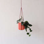 Wrap Hanging Kit