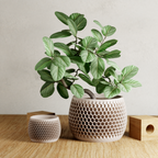 Honeycomb Planter
