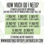 MINI GRIT Cactus & Succulent Premium Potting Mix