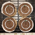 Preset Blumat Grow Tent Irrigation Kit