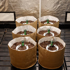 Preset Blumat Grow Tent Irrigation Kit