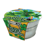 Pot O' Good Luck - Grow Your Own Shamrocks Multipack of 3