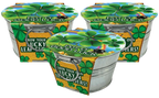 Pot O' Good Luck - Grow Your Own Shamrocks Multipack of 3