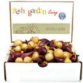 Mixed Yellow Red Onion Sets - Bulbs Non-GMO