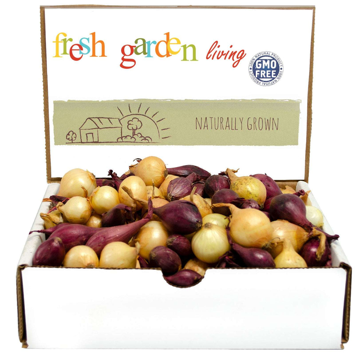 Mixed Yellow Red Onion Sets - Bulbs Non-GMO