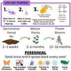 Self-Heal Seed Pouch