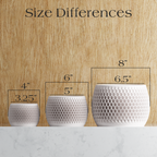 Honeycomb Planter