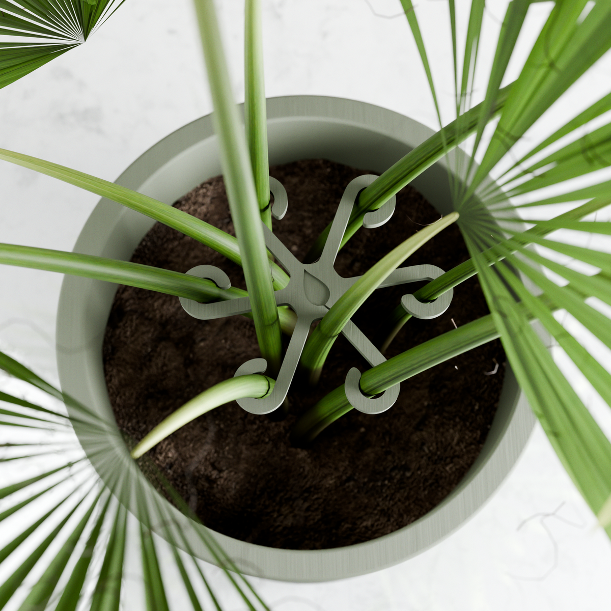 Climbing Plant Stem Support Stakes