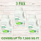 Thick Bee Lawn Seed Kit