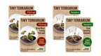 Carnivorous Tiny Terrariums Bundle - 2 each of 2 Varieties