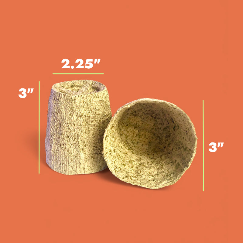 Ocean Made Kelp Pots | 3" Round