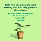 Ocean Made Kelp Pots | 3" Round