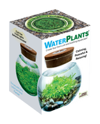 WaterPlants- Grow Lush Aquatic Plants from Seed! Thrives With Minimal Care