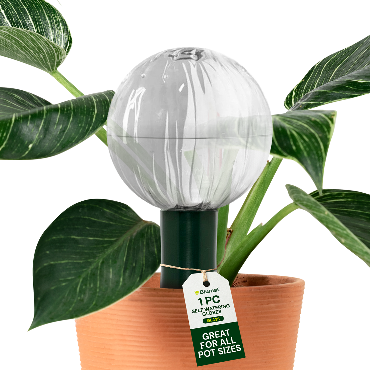 Glass Globe with Blumat Bottle Adapter