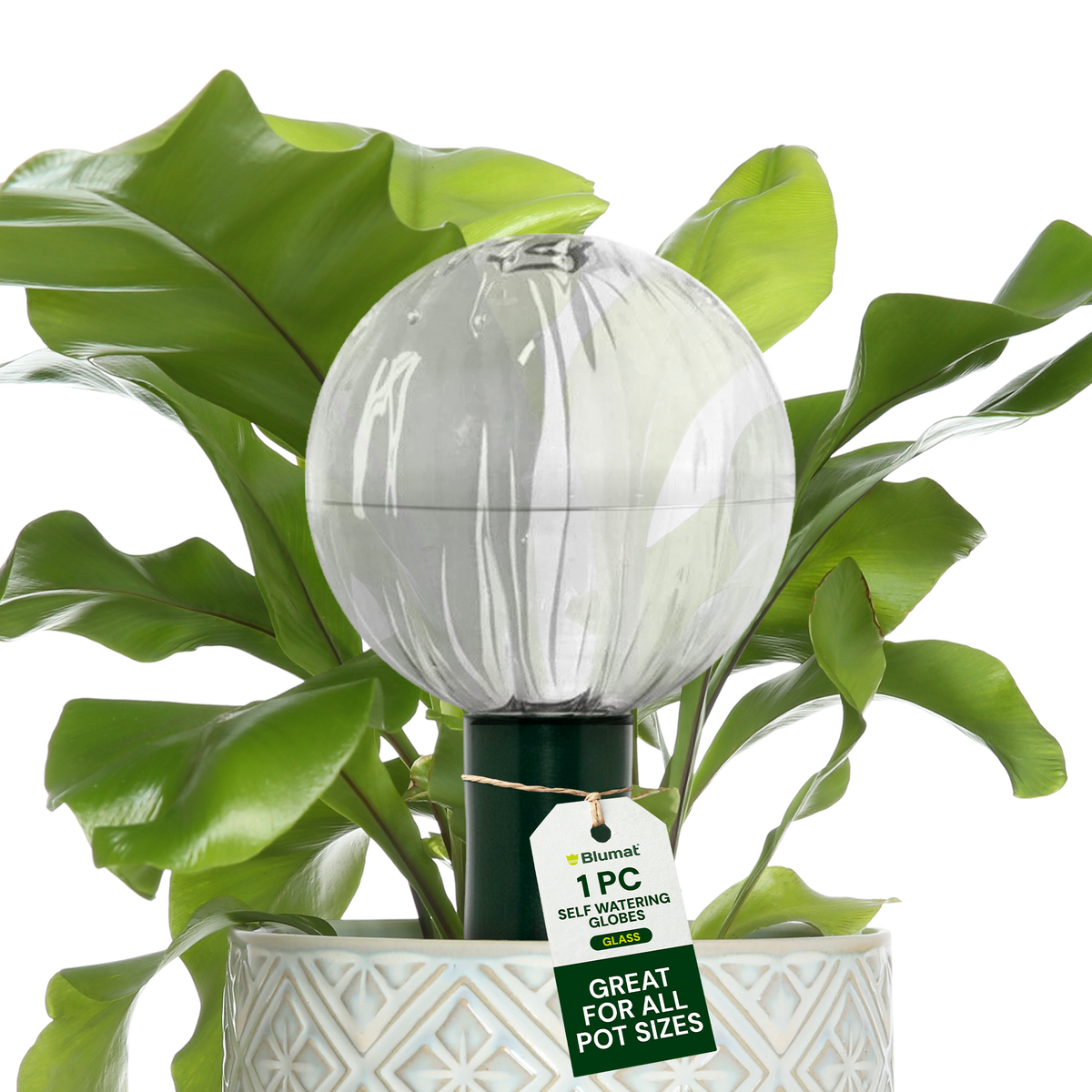 Glass Globe with Blumat Bottle Adapter