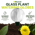 Glass Globe with Blumat Bottle Adapter