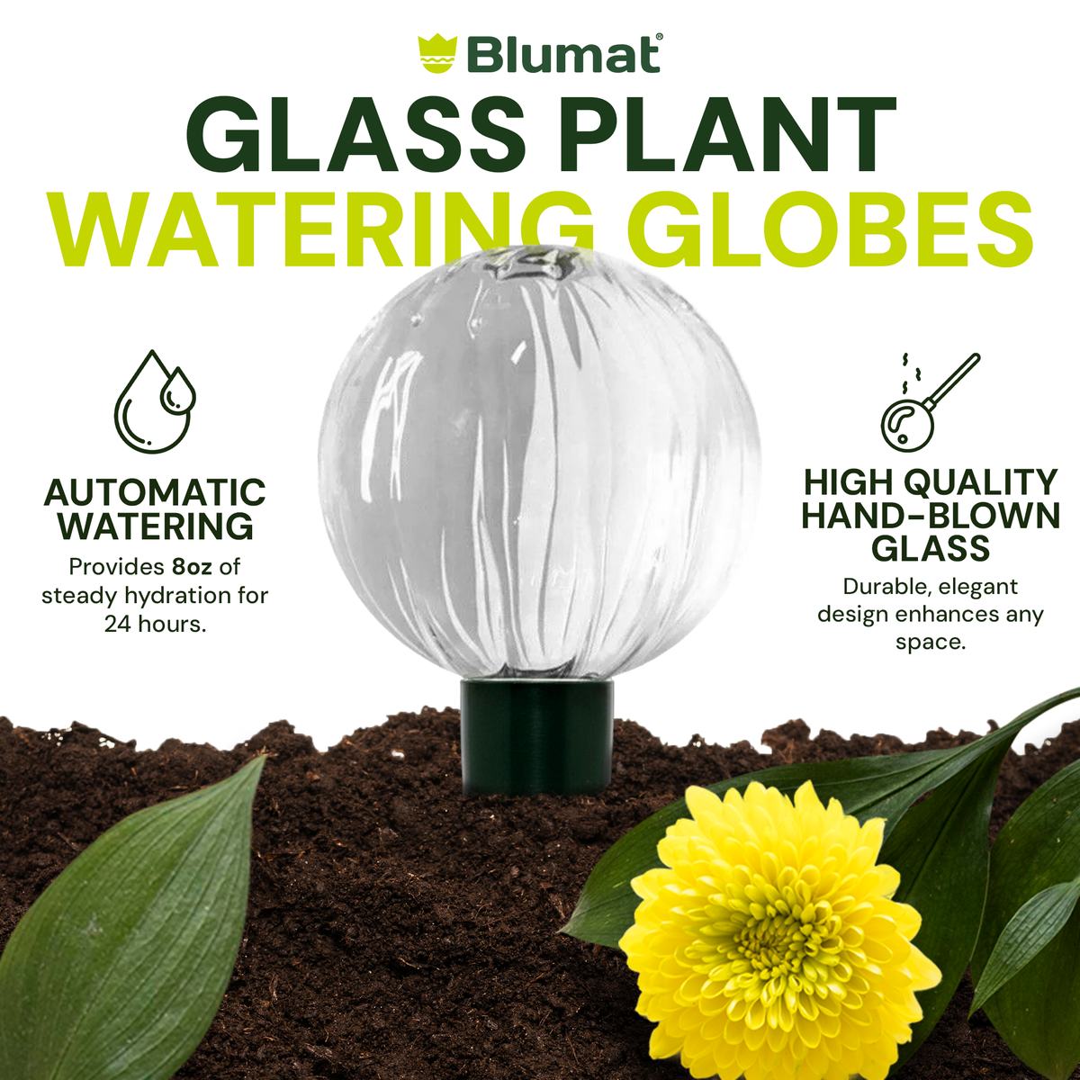 Glass Globe with Blumat Bottle Adapter