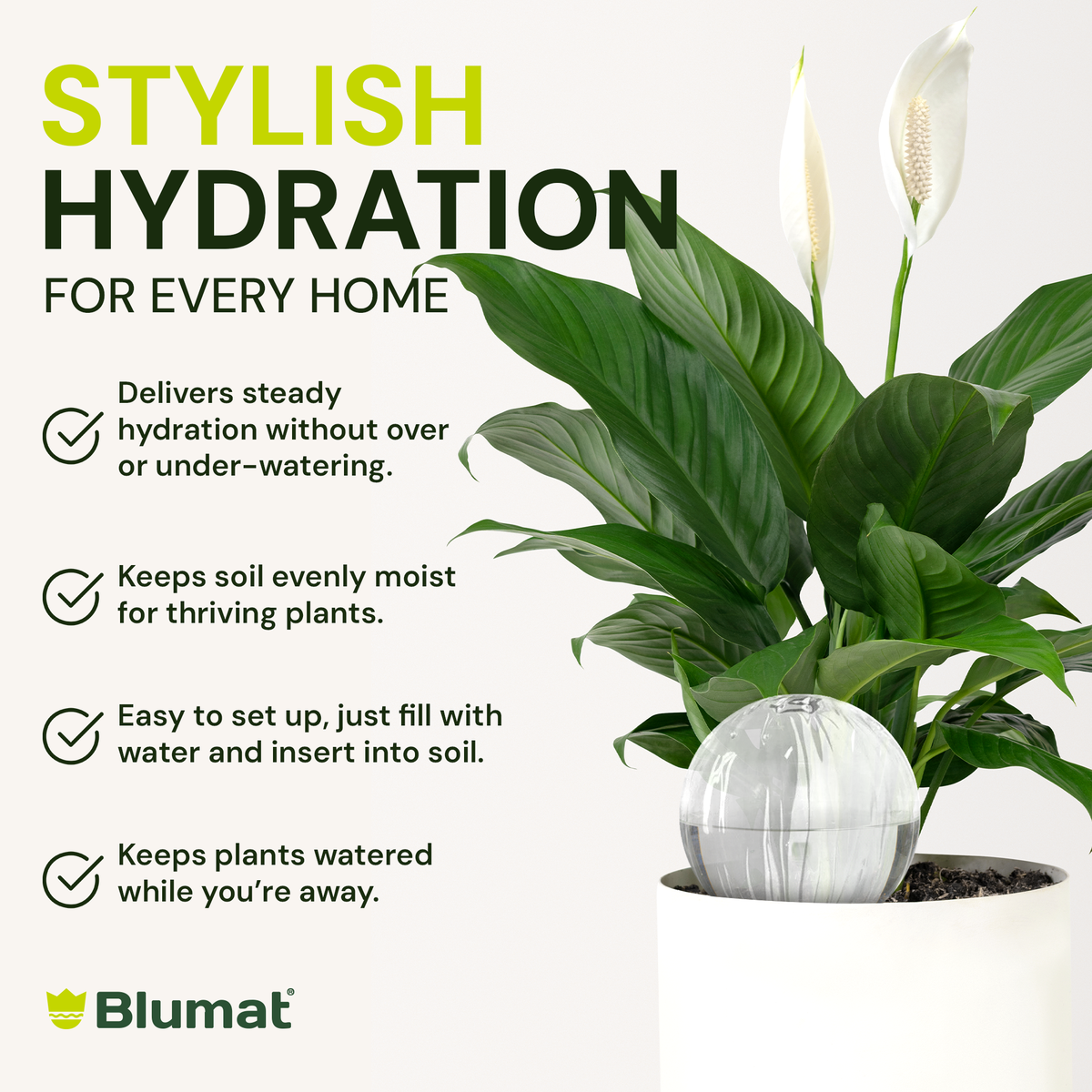 Glass Globe with Blumat Bottle Adapter
