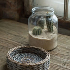 Glass and Wicker Terrarium - Cylinder