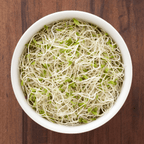 Alfalfa Sprout – 500 Seeds