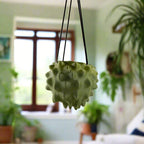 The Creature Orb Hanging Planter Pot With Drainage