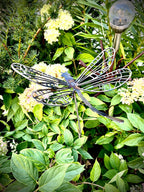 Flame Painted Steel Dragonfly Yard Stake