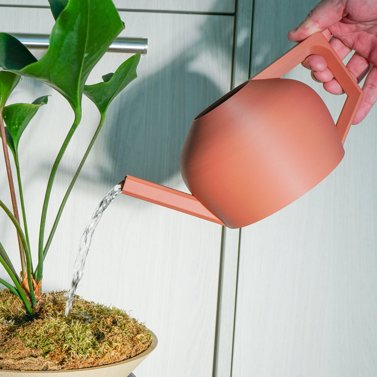 HydraMate Modern Watering Can for Houseplants