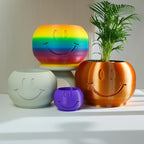 Happy Sprout Smiley Face Plant Pot with Drainage and Drip Tray – Cute Ghibli Decor Planter | Kawaii Hypebeast Pots for Plants | Cubicle & Classroom Decor