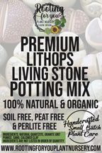 Lithops Living Stone Premium Potting Mix