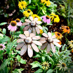 Metal Coneflowers | Yard Art