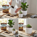 3-Piece White Stoneware Planter Pot Set with Soft Vertical Texture