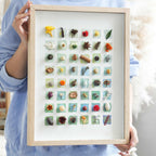 "The Grand Botanical Mosaic" Specimen Shadow Box