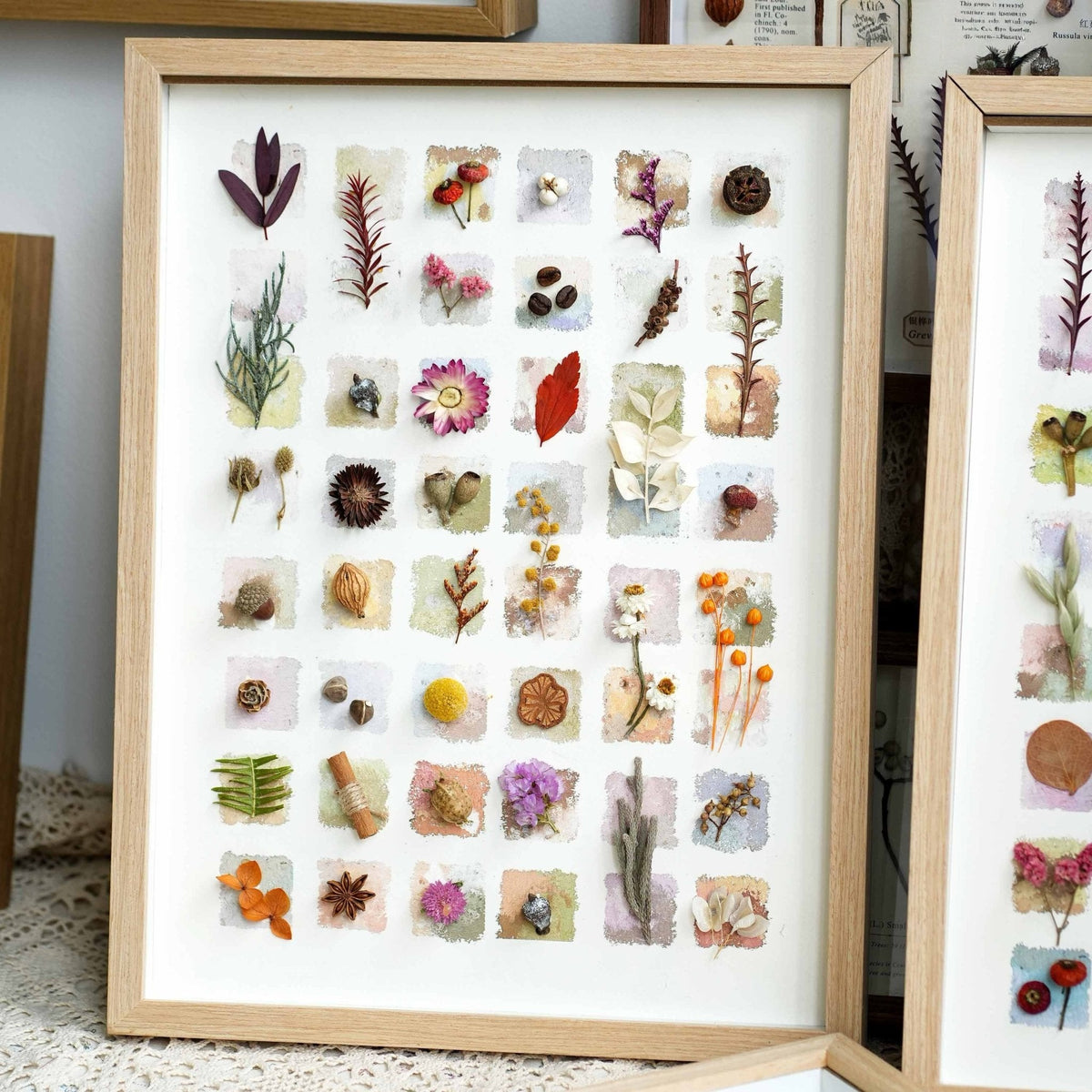 "The Grand Botanical Mosaic" Specimen Shadow Box