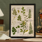 "The Botanist's Journal" Pressed Flower Art Frame